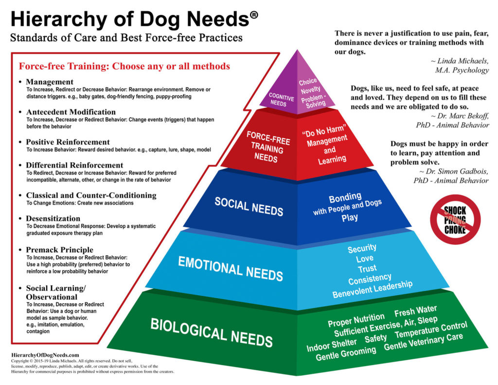 Hierarchy of Dog's Needs